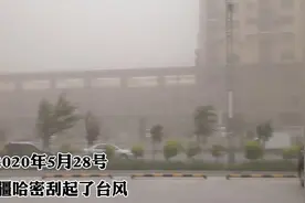 新疆哈密刮起狂风，鬼哭狼嚎漫天黄土，新疆的天气就是狂野!视频封面