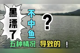 黑漂不中鱼有五种情况，你知道几种？了解了才能应对自如视频封面