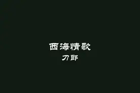 刀郎《西海情歌》大字版MV歌词