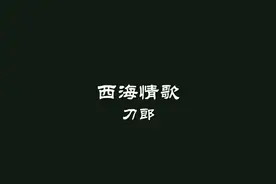 刀郎《西海情歌》大字版MV歌词视频封面