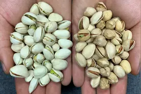 买开心果，白色的好还是黄色的好？很多人都不知道，看完涨见识了视频封面