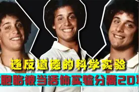 三胞胎刚出生就被分开领养，19年后再相聚，发现了一个惊人骗局视频封面