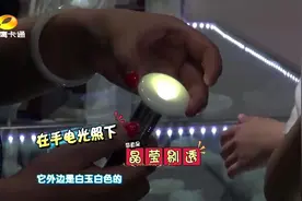 老师传授辨别玉镯真假，不料小冒险说的头头是道，全在点子上！