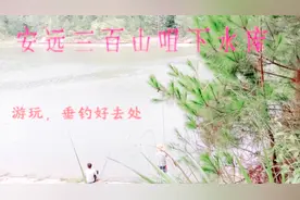游玩、垂钓哪里去？安远三百山咀下水库，你确定不来瞧瞧？视频封面