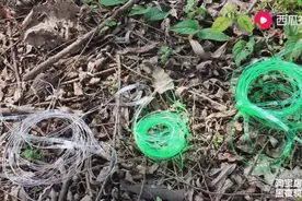 怎么样让可乐瓶子变成绳子，想一辈子都想不出来