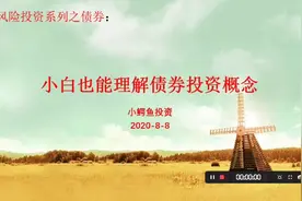 小白都能听懂的债券投资概念，债券型基金投资的基础！视频封面