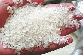 买大米时，这3种米不要买，买了也不要吃，别不当事，长个记性视频封面