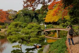 日本传统音乐和风曲欣赏，背景画面枫叶红满天，BGM有些怀旧感！