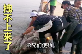 花3000元钓鱼，最少的钓532斤，最多的钓了746斤，你说值吗？视频封面