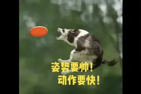 一日三檄文！胡利青还是狐狸精？是狐狸尾巴总会露出来！视频封面