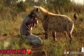 这么凶残的狗狗，都可以被人类驯化，善良可以感化一切众生😁