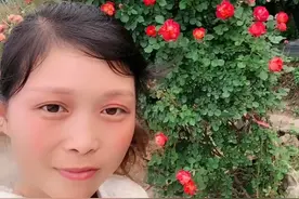 爬藤月季蔷薇花苗视频封面