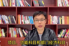专注政府会计实务账务处理，预算会计的辅助核算，财务会计一样吗视频封面
