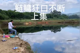 手杆抽鲢鳙狂口不断，天赐抽鲢鳙抽的太过瘾、脸上都乐开花了视频封面