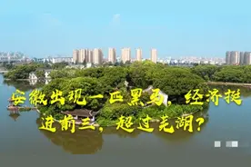 黑马！滁州闯入安徽GDP前三，是否会超越芜湖，成为安徽第二城。视频封面