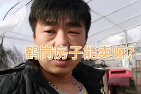 鹤岗房价为啥这么便宜？这是一个坑   买过的人都后悔视频封面