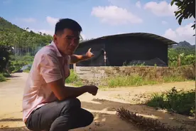 年轻人选择回家创业，为何回来不到一个月又跑出去打工？