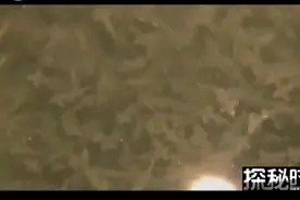 房子下挖出“鱼泉” 鱼终日喷涌而出源源不断！惊奇视频封面