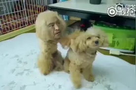 把人脸P在狗头上！真的是丧心病狂啦😱😱😱视频封面