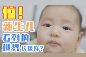 惊！新生儿看到的世界居然这么魔幻！？
