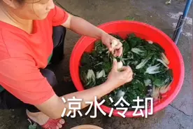 粤北农村煲汤的好材料：白菜干，来瞧瞧坤嫂的做法吧！