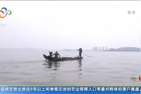 汤逊湖水体变绿 治理已经启动视频封面