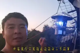 网上流行的灭虫灯，实战效果究竟如何？小柳买来放野外试验效果