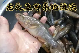东北老头鱼，肉质肥厚，雪白细嫩，大厨用传统东北做法，味道正宗视频封面