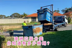 这么大的垃圾箱用来装啥？在澳洲垃圾处理门类可真多啊！视频封面