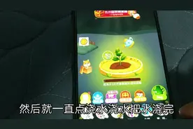 大林子亲自试验大揭秘！多多果园种果树真能免费收到实物水果吗？视频封面