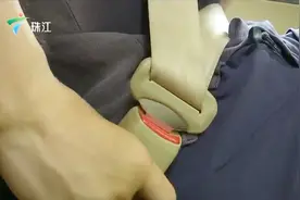 后排乘客不系安全带 车祸受伤要责任自负视频封面