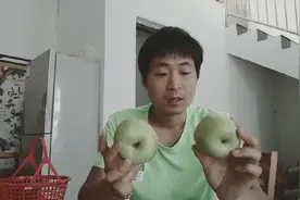 砀山酥梨还没熟就有人卖了？看看现在梨子有几成熟？
