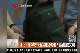 湖北：男子带20万现金做火车，背包被调包？列车监控记录事发经过