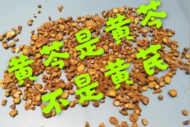 黄芩是黄芩不是黄芪，大家一定不要把名字搞混了呦！