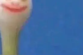 牛掰搞笑头像视频封面