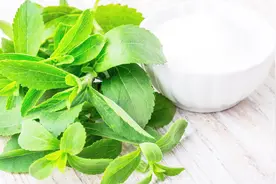 跑者，你喜欢吃甜食吗？｜吴栋说跑步视频封面