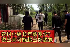 农村小组长年薪多少！说出来可能超乎你想象河南南部某偏远农村！