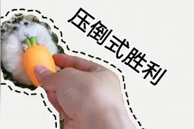 用萝卜把肥仓鼠压得吱吱叫！欺负小仓鼠好快乐呀！视频封面