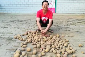 出口海外的甘肃土豆——用世界语讲述甘肃故事视频封面