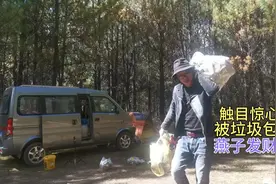 西藏林芝小江南不来后悔，来了更后悔，究竟是内地人错还本地人视频封面