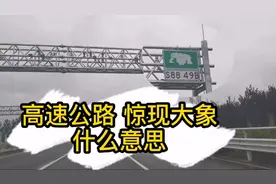 河南高速公路标志牌竟有大象，有谁知道代表什么？