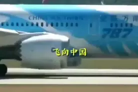 一飞机口罩，澳洲华人买空飞机座位全放救灾口罩，赞视频封面