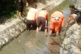 高速🛣️护栏专业视频封面