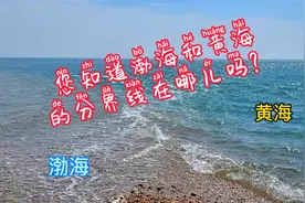 您知道渤海和黄海的分界线在哪儿吗？坐船去看看吧#十一不回家#视频封面