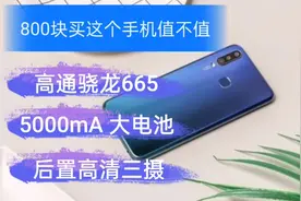 800块买这个手机值不值？高通骁龙665,5000mA大电池,后置超清三摄视频封面