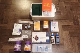新手养猫注意啦！猫咪打喷嚏到底是因为什么？要如何应对呢？视频封面
