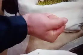老版三国：关羽张飞相见打架，英雄所见略同。刘备劝架，一起喝酒视频封面