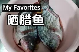 很多人晒腊鱼都会生虫，就是少了一个重要的环节，到底要怎么做视频封面