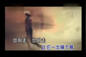 你别走！歌手李美丽！视频封面