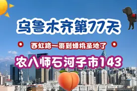 农八师石河子143团的蟠桃园已经罢园了，成为了我家小黑狗的乐园视频封面